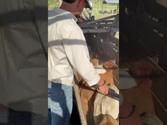 PT290 LF 牛耳のタグリーダー RFID スティックリーダー