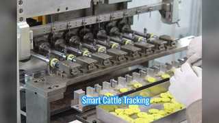 Cattle Tracker 耳標ルーメンボーラスセンサー