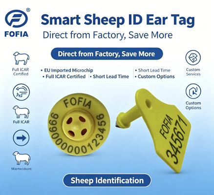ICAR 認定 TPU 電子耳タグ 350N 張力と RFID 追跡を備えた家畜用
