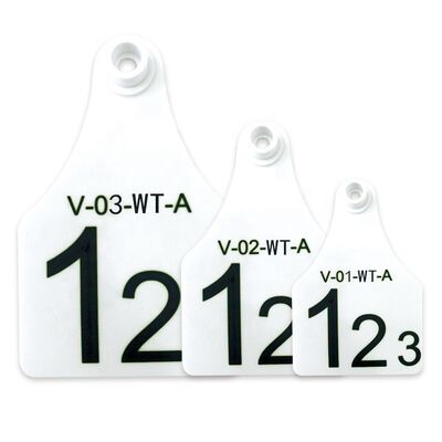 FOFIA ET921 プラスチック牛耳タグ 動物追跡レーザーコード化 種々のサイズ 牛 羊 豚 農場 使用番号