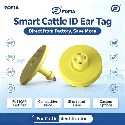 ICARET908+T901 フル 防水 RFID LF TPU 黄色 動物耳タグ 14.5mm EM4305 チップ 5 年間の保証 牛 フォフィア