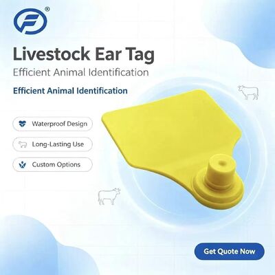 ICAR Fofia T904 動物耳のタグチップ 新品 高品質 RFID TPUレーザーコード 3 年間の保証 農場での家畜追跡用
