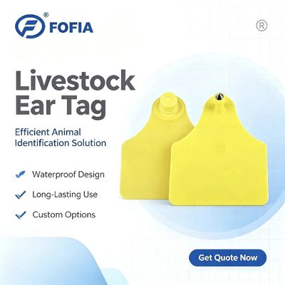 ICAR T904+T905 組み合わせ 動物追跡用イヤータグ 新型 RFID TPU プラスチック 70*57mm レーザーコーディング 3年保証 畜産用 牛