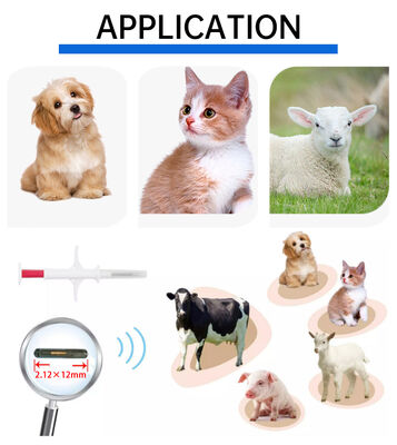 防水フォフィア新ホットセールRFID 134.2kHz PP素材犬用IDマイクロチップ防水農場用ペット注射1.5年イヤータグ
