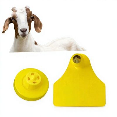 耐久性のある防水ヤギ羊電子動物追跡耳タグ新高品質 RFID TPU レーザーコーディング 3 年保証モデル