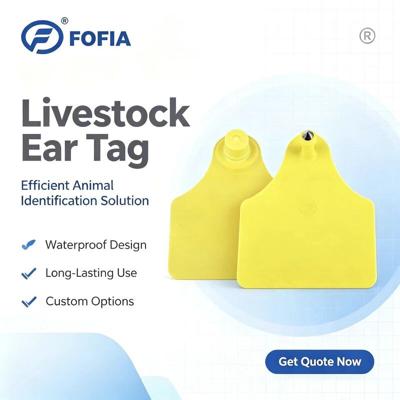 ICAR T904+T905 組み合わせ 動物追跡用イヤータグ 新型 RFID TPU プラスチック 70*57mm レーザーコーディング 3年保証 畜産用 牛