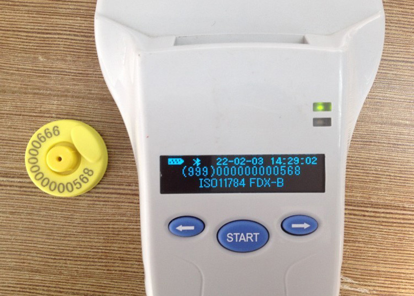 RFIDの習慣によって印刷される牛耳札は感染症、黄色い色を防ぎます