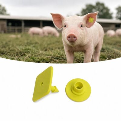UHF 電子動物耳タグ TPU 軽量 3.2 グラム識別タグ、正確な家畜追跡とデータ収集用