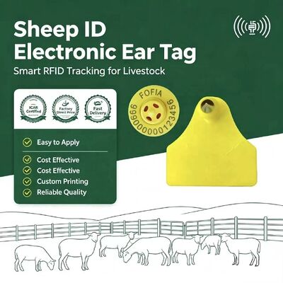 フォフィア 防水組み合わせ 電子動物追跡耳札 新品 高品質 RFID TPU レーザーコード 3年保証